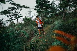 BIB: 
                            <button type="button" onclick="openModal(25257959)" class="btn btn-primary btn-sm float-right btn-popup" data-toggle="modal" data-target=".modal-high-quality">
                        <i class="fas fa-shopping-cart"></i> Add to Cart
                    </button>
                                            <button type="button" onclick="isThisMe(25257959, true)" class="btn btn-success btn-sm float-right btn-popup btn-isme hidden" data-toggle="tooltip" data-placement="bottom" title="นี่คือรูปของคุณใช่ไหม คลิกที่นี่เพื่อเอาเข้าอัลบั้ม">
                        <i class="fas fa-plus"></i> Add to album
                    </button>
                    <button type="button" onclick="isThisMe(25257959, false)" class="btn btn-warning btn-sm float-right btn-popup btn-isnotme hidden">
                        <i class="fas fa-ban"></i> Remove from album
                    </button>